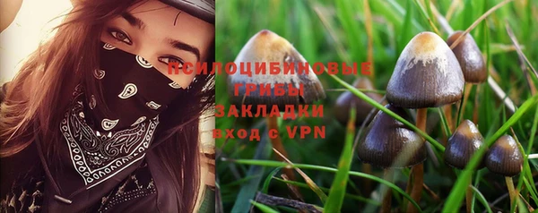 сатива Алексеевка