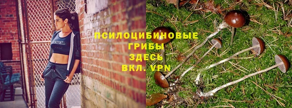 сатива Алексеевка