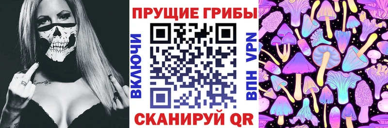 Псилоцибиновые грибы мицелий  цены наркотик  Цоци-Юрт 