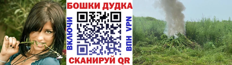 Бошки Шишки AK-47  маркетплейс Telegram  Цоци-Юрт  сколько стоит 